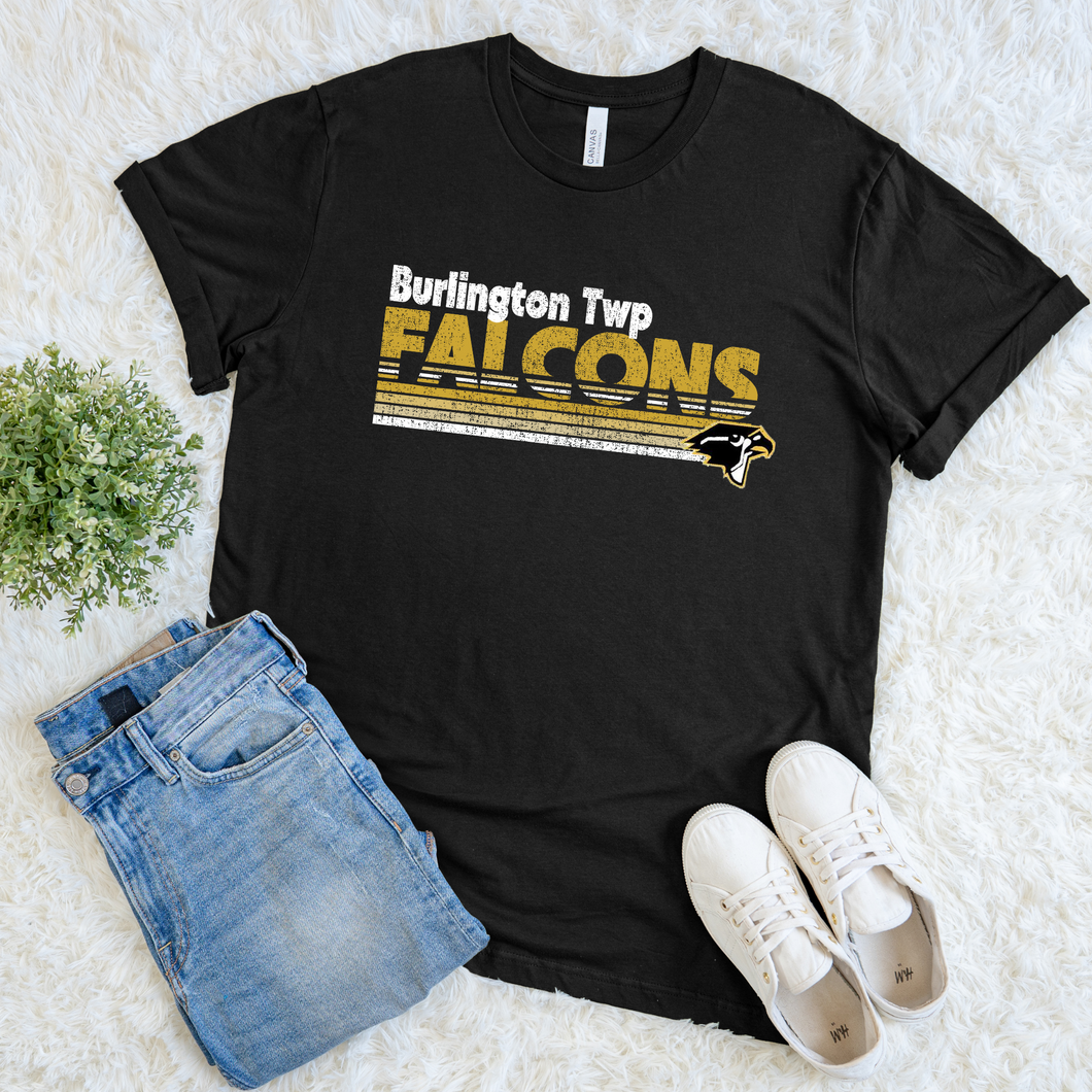 Striped Falcons Tee